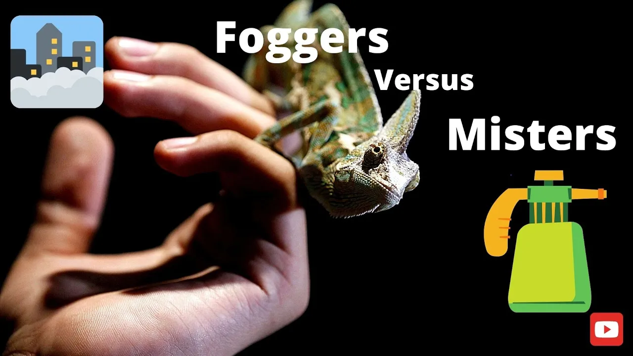Reptile Foggers Vs Reptile Misters: Which is the better choice?