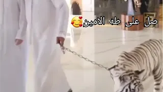 یارب العالمین  الله الله                                     دندنها