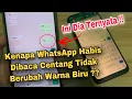 Kenapa WhatsApp Habis Dibaca Centang Tidak Berubah Warna Biru ? Ini Penyebabnya