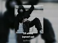 stefflon don- 16 shots (speed up)