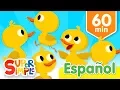 Cinco Patitos Y Más Canciones Infantiles | Música Para Niños