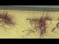 Spring Break 2019 - Pensacola FL
