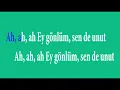Okan & Volkan   Halden Anlamaz karaoke