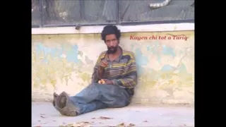                    دندنها