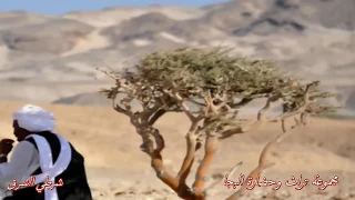 اغنية الله رهسايب للفنان علي اوليل 