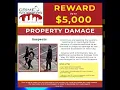Reward Up to 5 000 Help Identify Ybor City Persons of Interest