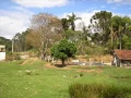 Download Lagu No Rancho Fundo Chitãozinho \u0026 Xororó musica original