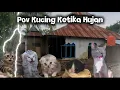 Pov Kucing Ketika Hujan | meme kucing lucu #pov #meme #kucing #cat