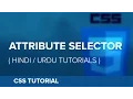 How to use Attribute Selector in CSS - Hindi Urdu Tutorial