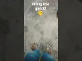 Lagu sakit ya kak