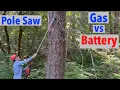 Gas Pole Saw Reality Check vs Battery Hype