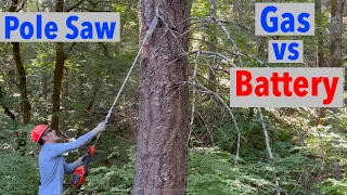Gas Pole Saw Reality Check vs Battery Hype
