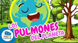 LOS PULMONES DEL PLANETA | Ciencias Naturales para Niños | Happy Learning 🌳🫁😮‍💨