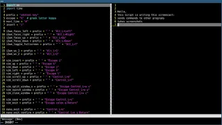 Python Screencast Script