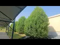 Amazing performance of STIHL hedge trimmer HL-94
