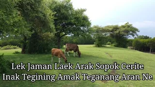 lirik lagu sasak lombok inaq tegining amaq teganang