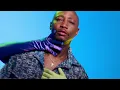 Da Muziqal Chef, MalumNator - Phendula (Visualizer) ft. Njelic, Aymos, De Mthuda