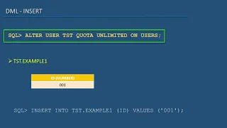 33 Oracle SQL Developer Tutorial For Beginners 32 DML Fixing the failed INSERT