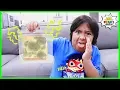 How to keep bread from molding science experiment DIY