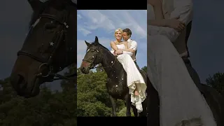 وركبنا علي الحصان   فهد بلان   دندنها
