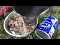 Petco Wholehearted New Grain-Free Dog Food