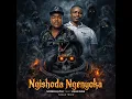 Ngishoda Ngenyoka
