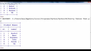 How to make textual table in Python using Pretty Tables Binary 2 0