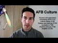 Acid Fast Bacilli AFB Culture Mycobacterium tuberculosis TB