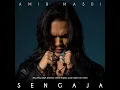 Download Lagu Amir Masdi - Sengaja (LIRIK)