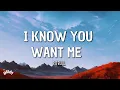 Download Lagu PITBULL - I know you want me (calle ocho)(Lyrics)