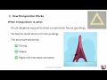 and Triangulation Grade 7 Technology Term 2
