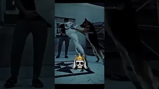 تصميم لكلب صلبوخ روك اشتراك بالقناة لايك اكسبلور 