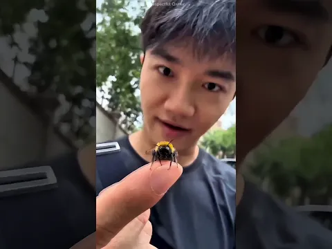 This Tiny Fly Was His Best Friend! 🪰🥹❤️