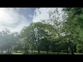 【作業用BGM】爽やかな秋の朝に聴きたい、おしゃれな音楽/morning/cafe/coffee/chill-Autumn Morning-【playlist】【洋楽】