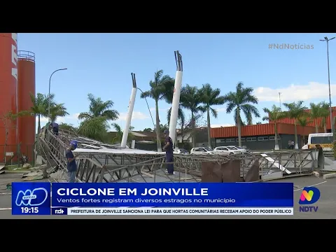 Ciclone em Joinville: Defesa civil atende ocorrências de destelhamento e quedas de árvores