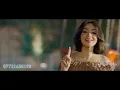 حاتم العرقي 2024  عالم غير عالم العندليب الاسمر  احلى اغنيه عراقيه لهذا الموسم