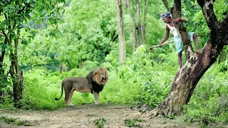 Lion Attack Man In The Forest🌲| Lion Attack man in Jungle | Lion Attack