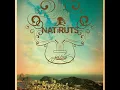 O carcara e a rosa - Natiruts ( acústico)