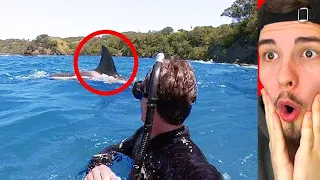 Riesen Hai schwimmt direkt hinter ihm, dann passiert das!