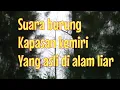 Download Lagu Suara burung kapasan kemiri yang asli liar di alam
