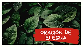 Oracion a Elegua para el Amor el Dinero Abrir Caminos y MAS El Babalawo Rodrigo Garcia