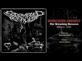 Download Lagu Sodomized Assault (PHI) - Vile Wrenching Massacre (Full Demo)