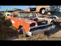 1959 Ford Ranchero Desert Valley auto parts casa grande Arizona