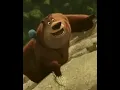 Boog from open Season falls