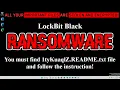 Hands-on Ransomware Exploring Cybercrime