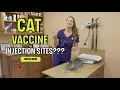 CAT VACCINE INJECTION SITES The 4 Core feline vaccines and their administration sites
