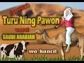 Download Lagu TURU NING PAWON versi ARAB SAUDI (cover) WA KANCIL