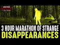 Download Lagu 3 Hour MARATHON Of National Park DISAPPEARANCES!