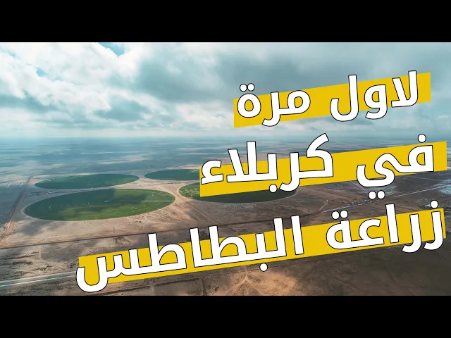 ⁣انتاج البطاطس الصناعية في كربلاء || مزارع الفردوس || 2020 ||