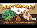 Don t Waste Your Dog s Poo Compost It A Gardener s Guide to Transforming Waste into Garden Gold
